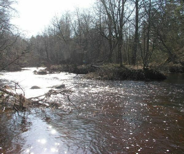 Maakond: Harjumaa Veekogu nimi: Vääna jõgi Pildistamise aeg: 27. aprill 2004 Pildistaja: H. Timm Pildistamise koht: alamjooks Asimuut: