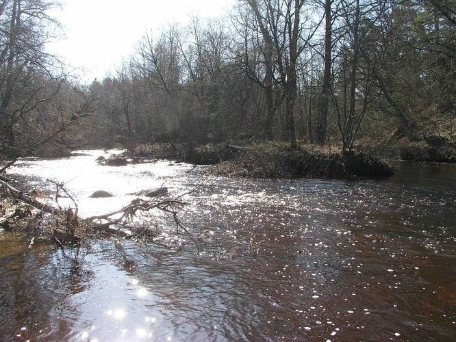 Maakond: Harjumaa Veekogu nimi: Vääna jõgi Pildistamise aeg: 27. aprill 2004 Pildistaja: H. Timm Pildistamise koht: alamjooks Asimuut: