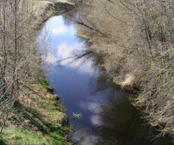 Maakond: Harjumaa Veekogu nimi: Vääna jõgi Pildistamise aeg: 27. aprill 2004 Pildistaja: H. Timm Pildistamise koht: Tõdva Asimuut: