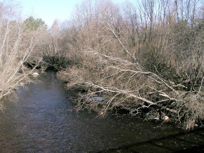 Maakond: Harjumaa Veekogu nimi: Vääna jõgi Pildistamise aeg: 27. aprill 2004 Pildistaja: H. Timm Pildistamise koht: alamjooks Asimuut: