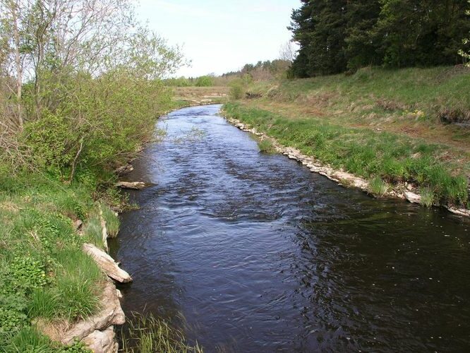 Maakond: Harjumaa Veekogu nimi: Vääna jõgi Pildistamise aeg: 14. mai 2009 Pildistaja: H. Timm Pildistamise koht: Vahi Asimuut: