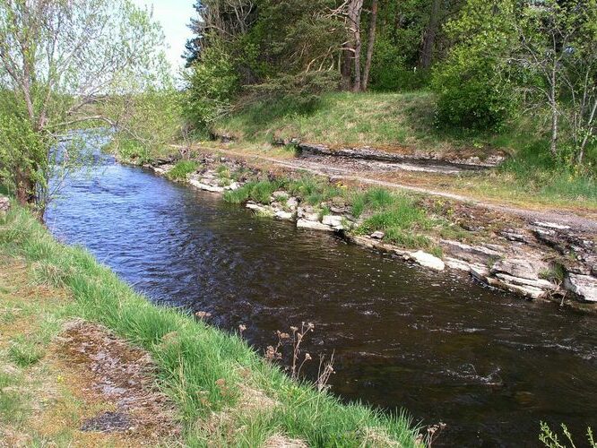 Maakond: Harjumaa Veekogu nimi: Vääna jõgi Pildistamise aeg: 14. mai 2009 Pildistaja: H. Timm Pildistamise koht: Vahi Asimuut: