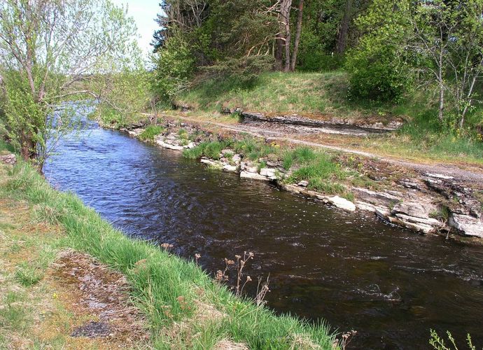 Maakond: Harjumaa Veekogu nimi: Vääna jõgi Pildistamise aeg: 14. mai 2009 Pildistaja: H. Timm Pildistamise koht: Vahi Asimuut: