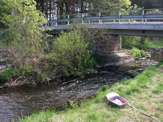 Maakond: Harjumaa Veekogu nimi: Vääna jõgi Pildistamise aeg: 14. mai 2009 Pildistaja: H. Timm Pildistamise koht: Vahi Asimuut: