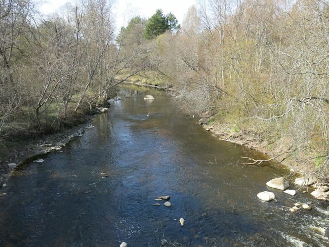 Maakond: Harjumaa Veekogu nimi: Vääna jõgi Pildistamise aeg: 28. aprill 2014 Pildistaja: H. Timm Pildistamise koht: Vääna-Jõesuu Asimuut: