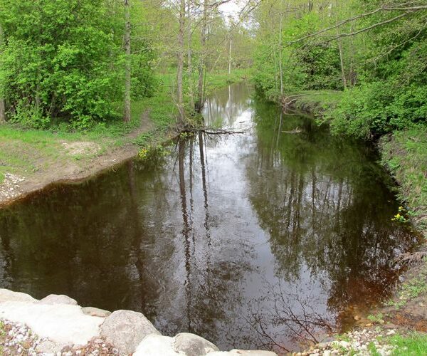 Maakond: Hiiumaa Veekogu nimi: Vaemla jõgi Pildistamise aeg: 16. mai 2011 Pildistaja: H. Timm Pildistamise koht: teadmata Asimuut: