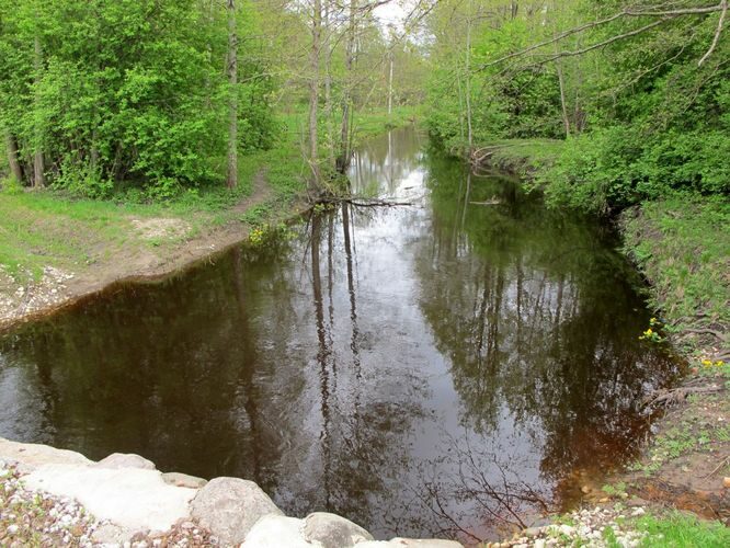 Maakond: Hiiumaa Veekogu nimi: Vaemla jõgi Pildistamise aeg: 16. mai 2011 Pildistaja: H. Timm Pildistamise koht: teadmata Asimuut: