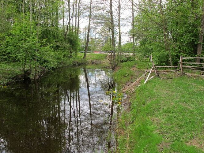 Maakond: Hiiumaa Veekogu nimi: Vaemla jõgi Pildistamise aeg: 16. mai 2011 Pildistaja: H. Timm Pildistamise koht: teadmata Asimuut: