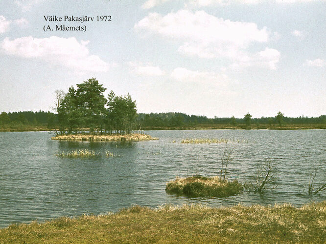 Maakond: Harjumaa Veekogu nimi: Väike Pakasjärv Pildistamise aeg: 1972 Pildistaja: A. Mäemets Pildistamise koht: teadmata Asimuut: