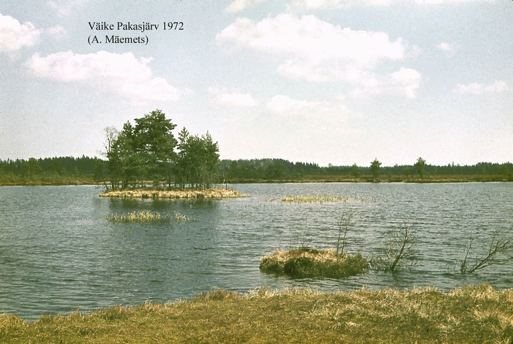 Maakond: Harjumaa Veekogu nimi: Väike Pakasjärv Pildistamise aeg: 1972 Pildistaja: A. Mäemets Pildistamise koht: teadmata Asimuut: