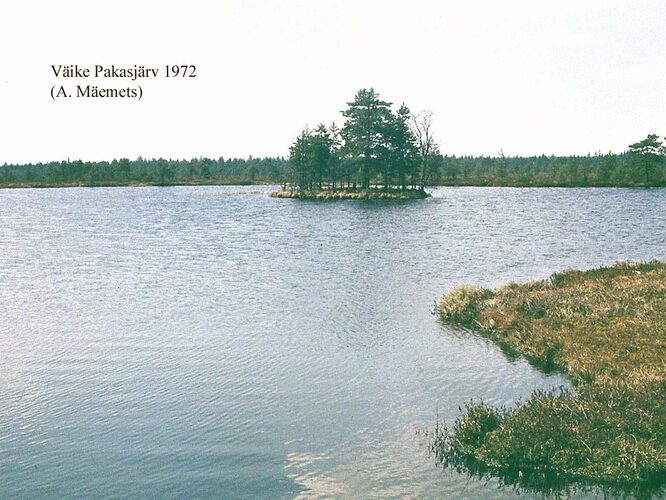 Maakond: Harjumaa Veekogu nimi: Väike Pakasjärv Pildistamise aeg: 1972 Pildistaja: A. Mäemets Pildistamise koht: teadmata Asimuut: