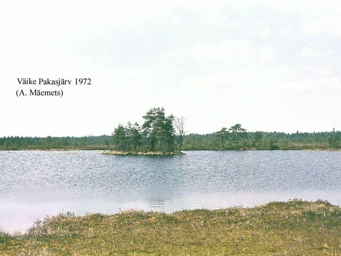 Maakond: Harjumaa Veekogu nimi: Väike Pakasjärv Pildistamise aeg: 1972 Pildistaja: A. Mäemets Pildistamise koht: teadmata Asimuut: