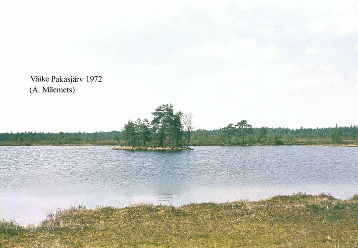 Maakond: Harjumaa Veekogu nimi: Väike Pakasjärv Pildistamise aeg: 1972 Pildistaja: A. Mäemets Pildistamise koht: teadmata Asimuut: