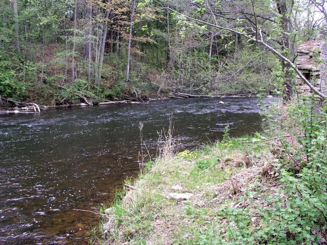 Maakond: Harjumaa Veekogu nimi: Valgejõgi Pildistamise aeg: 18. mai 2006 Pildistaja: H. Timm Pildistamise koht: Kotka Asimuut: