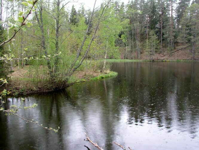 Maakond: Harjumaa Veekogu nimi: Valgejõgi Pildistamise aeg: 18. mai 2006 Pildistaja: H. Timm Pildistamise koht: Nõmmeveski paisjärv Asimuut: