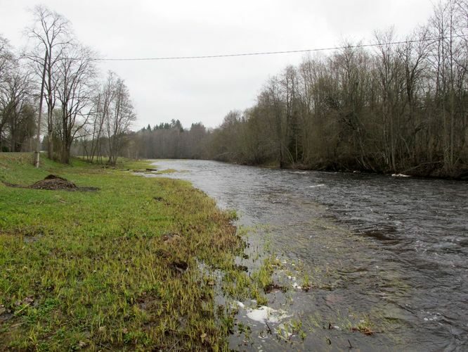 Maakond: Harjumaa Veekogu nimi: Valgejõgi Pildistamise aeg: 1. mai 2010 Pildistaja: H. Timm Pildistamise koht: Vanaküla Asimuut: