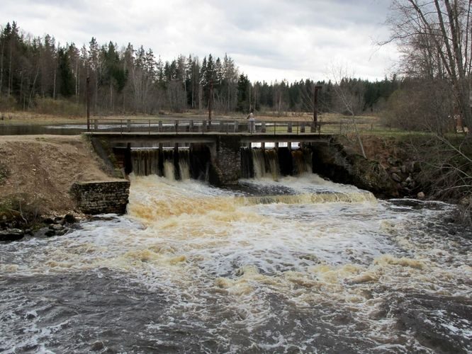 Maakond: Harjumaa Veekogu nimi: Valgejõgi Pildistamise aeg: 1. mai 2010 Pildistaja: H. Timm Pildistamise koht: Kotka pais Asimuut: