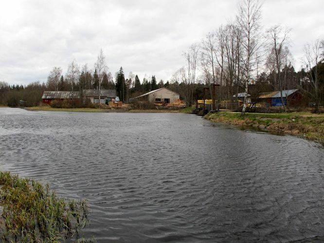 Maakond: Harjumaa Veekogu nimi: Valgejõgi Pildistamise aeg: 1. mai 2010 Pildistaja: H. Timm Pildistamise koht: Kotka paisjärv Asimuut: