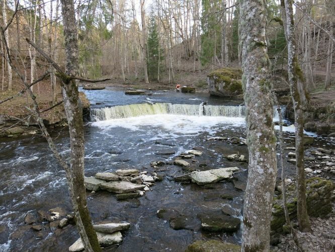 Maakond: Harjumaa Veekogu nimi: Valgejõgi Pildistamise aeg: 26. aprill 2014 Pildistaja: H. Timm Pildistamise koht: Nõmmeveski Asimuut: