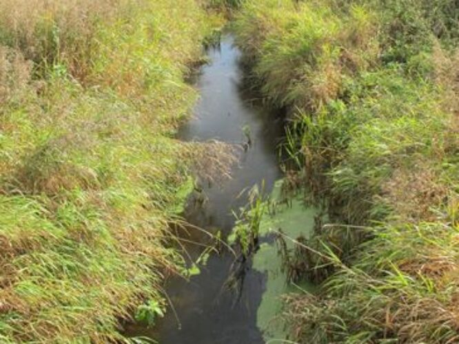 Maakond: Harjumaa Veekogu nimi: Valkla oja Pildistamise aeg: 20. september 2010 Pildistaja: H. Timm Pildistamise koht: õgvendatud Asimuut: