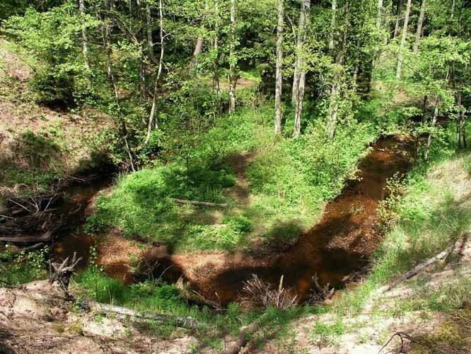 Maakond: Hiiumaa Veekogu nimi: Vanajõgi Pildistamise aeg: 23. mai 2008 Pildistaja: H. Timm Pildistamise koht: teadmata Asimuut: