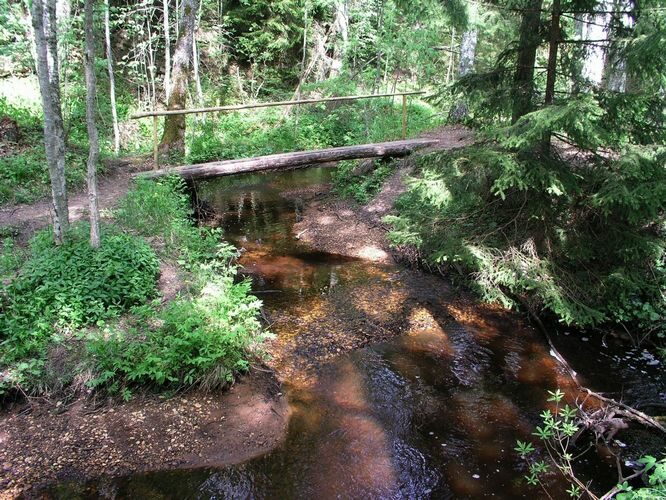 Maakond: Hiiumaa Veekogu nimi: Vanajõgi Pildistamise aeg: 23. mai 2008 Pildistaja: H. Timm Pildistamise koht: teadmata Asimuut: