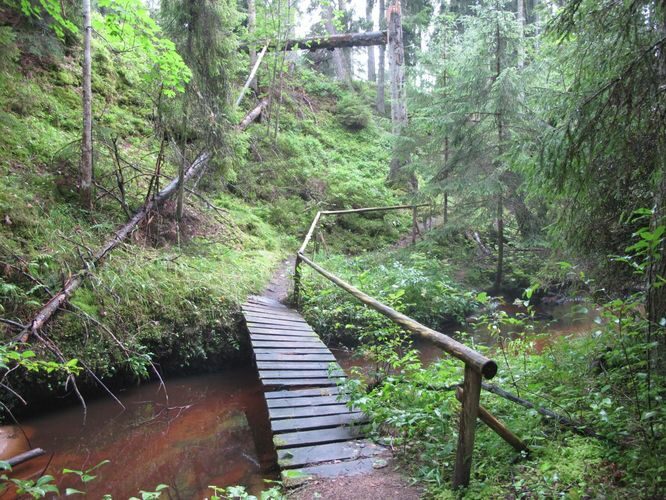 Maakond: Hiiumaa Veekogu nimi: Vanajõgi Pildistamise aeg: 3. august 2012 Pildistaja: H. Timm Pildistamise koht: org Asimuut: