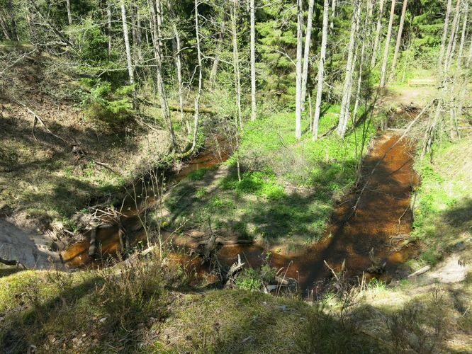 Maakond: Hiiumaa Veekogu nimi: Vanajõgi Pildistamise aeg: 15. mai 2014 Pildistaja: H. Timm Pildistamise koht: org Asimuut: