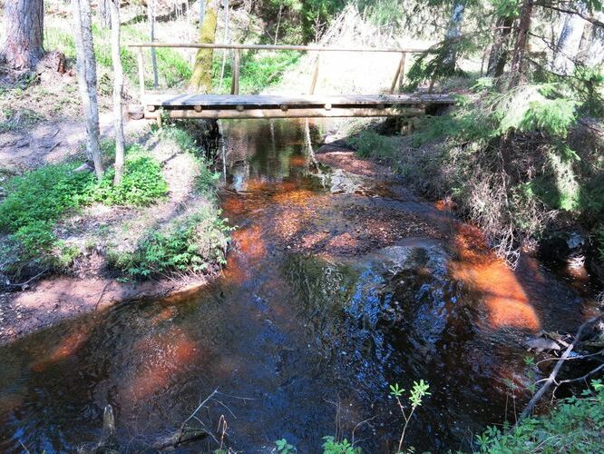 Maakond: Hiiumaa Veekogu nimi: Vanajõgi Pildistamise aeg: 15. mai 2014 Pildistaja: H. Timm Pildistamise koht: org Asimuut: