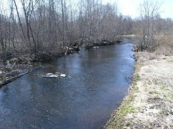 Maakond: Harjumaa Veekogu nimi: Vasalemma jõgi Pildistamise aeg: 27. aprill 2005 Pildistaja: H. Timm Pildistamise koht: alamjooksu sild Asimuut: