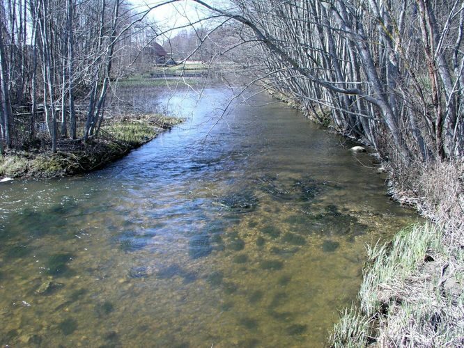 Maakond: Harjumaa Veekogu nimi: Vasalemma jõgi Pildistamise aeg: 27. aprill 2005 Pildistaja: H. Timm Pildistamise koht: Laitse Asimuut: