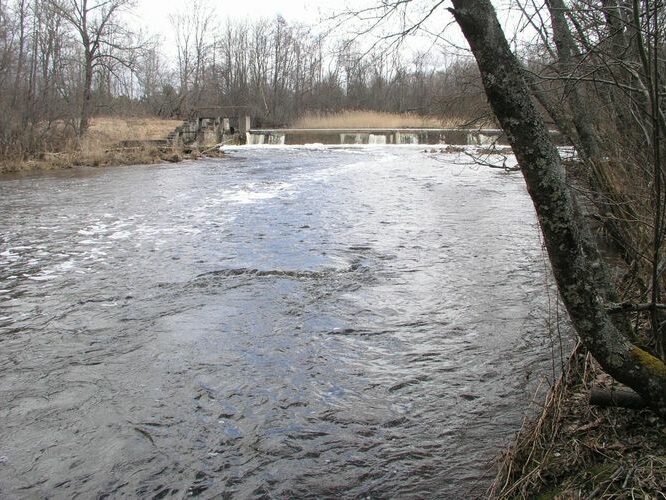 Maakond: Harjumaa Veekogu nimi: Vasalemma jõgi Pildistamise aeg: 20. aprill 2006 Pildistaja: H. Timm Pildistamise koht: allpool Vanaveski paisu Asimuut: