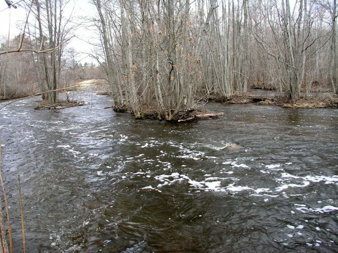 Maakond: Harjumaa Veekogu nimi: Vasalemma jõgi Pildistamise aeg: 20. aprill 2006 Pildistaja: H. Timm Pildistamise koht: allpool Vanaveski paisu Asimuut: