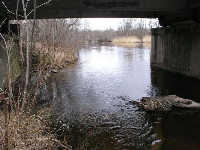 Maakond: Harjumaa Veekogu nimi: Vasalemma jõgi Pildistamise aeg: 20. aprill 2006 Pildistaja: H. Timm Pildistamise koht: Vanaveski sild Asimuut: