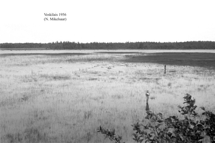 Maakond: Hiiumaa Veekogu nimi: Veskilais Pildistamise aeg: 1956 Pildistaja: N. Mikelsaar Pildistamise koht: teadmata Asimuut: