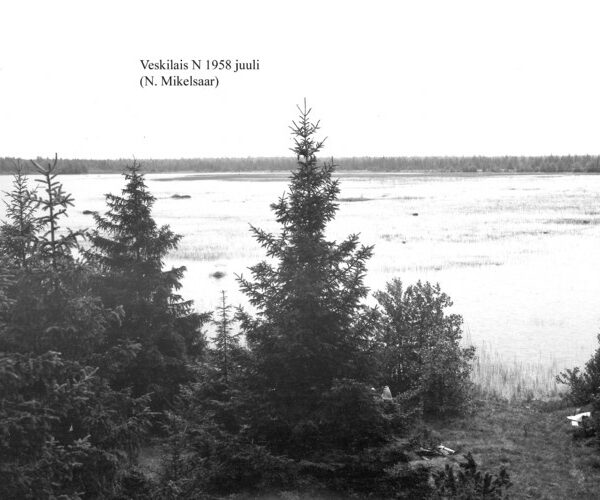 Maakond: Hiiumaa Veekogu nimi: Veskilais Pildistamise aeg: juuli 1958 Pildistaja: N. Mikelsaar Pildistamise koht: teadmata Asimuut: