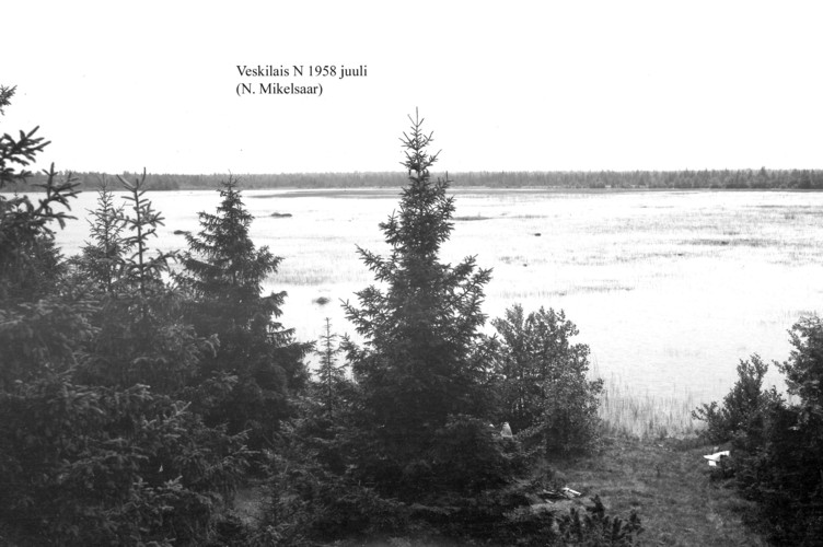 Maakond: Hiiumaa Veekogu nimi: Veskilais Pildistamise aeg: juuli 1958 Pildistaja: N. Mikelsaar Pildistamise koht: teadmata Asimuut: