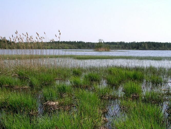 Maakond: Hiiumaa Veekogu nimi: Veskilais Pildistamise aeg: 25. mai 2003 Pildistaja: H. Timm Pildistamise koht: teadmata Asimuut: