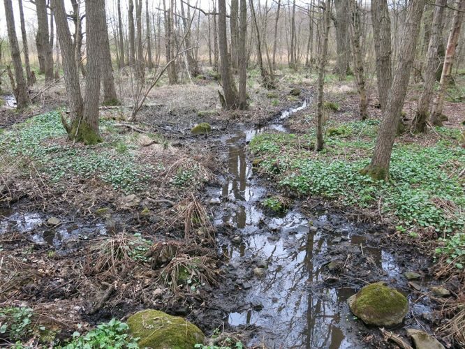 Maakond: Harjumaa Veekogu nimi: Võerdla pkr. Pildistamise aeg: 29. aprill 2014 Pildistaja: H. Timm Pildistamise koht: teadmata Asimuut: