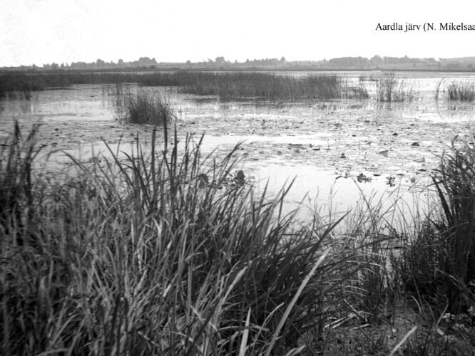 Maakond: Tartumaa Veekogu nimi: Aardla järv Pildistamise aeg: teadmata Pildistaja: N. Mikelsaar Pildistamise koht: teadmata Asimuut: