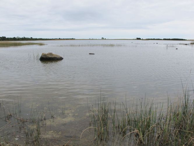 Maakond: Saaremaa Veekogu nimi: Aenga laht Pildistamise aeg: 25. mai 2010 Pildistaja: H. Timm Pildistamise koht: teadmata Asimuut: