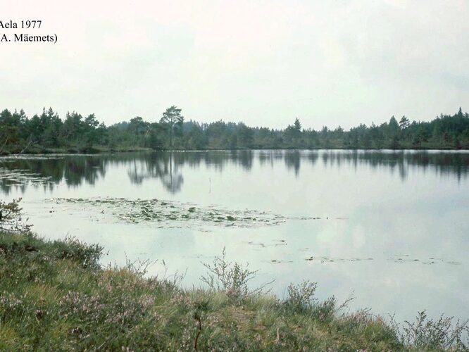 Maakond: Raplamaa Veekogu nimi: Aeljärv Pildistamise aeg: 1977 Pildistaja: A. Mäemets Pildistamise koht: teadmata Asimuut: