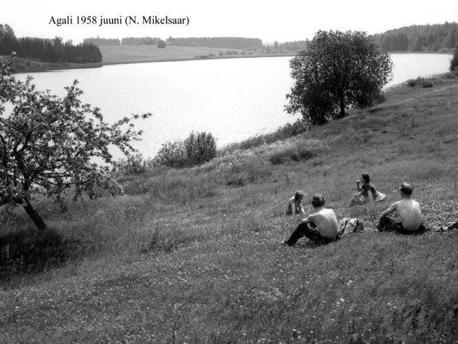 Maakond: Tartumaa Veekogu nimi: Agali järv Pildistamise aeg: juuni 1958 Pildistaja: N. Mikelsaar Pildistamise koht: teadmata Asimuut: