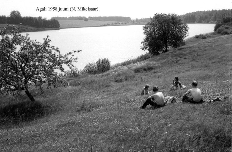 Maakond: Tartumaa Veekogu nimi: Agali järv Pildistamise aeg: juuni 1958 Pildistaja: N. Mikelsaar Pildistamise koht: teadmata Asimuut: