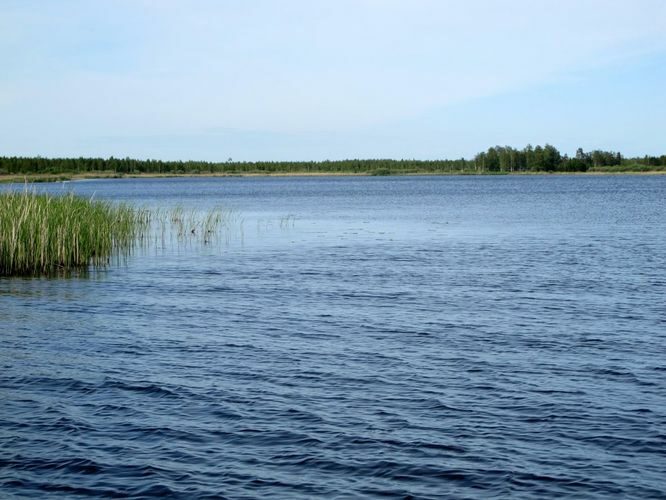 Maakond: Tartumaa Veekogu nimi: Ahijärv Pildistamise aeg: 28. mai 2012 Pildistaja: H. Timm Pildistamise koht: Ahja jõelt Asimuut: