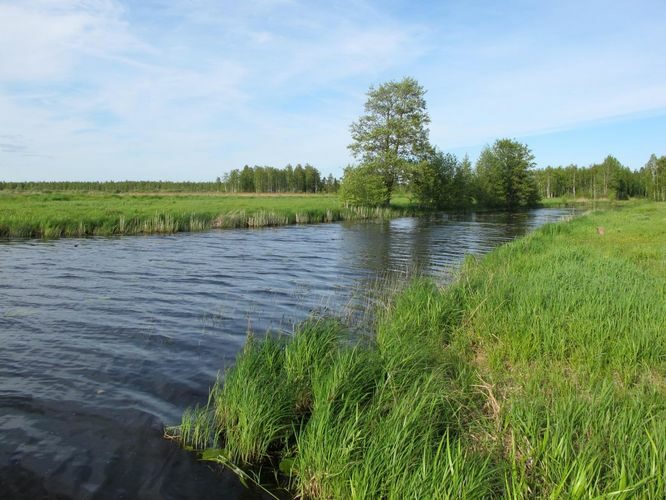 Maakond: Tartumaa Veekogu nimi: Ahijärv Pildistamise aeg: 28. mai 2012 Pildistaja: H. Timm Pildistamise koht: kanali sopp Asimuut: