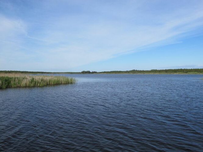 Maakond: Tartumaa Veekogu nimi: Ahijärv Pildistamise aeg: 28. mai 2012 Pildistaja: H. Timm Pildistamise koht: Ahja jõelt Asimuut: