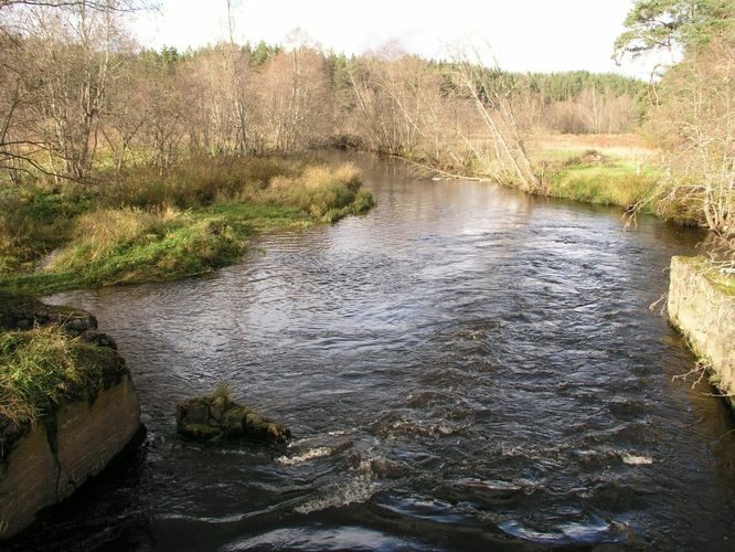 Maakond: Põlvamaa Veekogu nimi: Ahja jõgi Pildistamise aeg: 20. oktoober 2003 Pildistaja: H. Timm Pildistamise koht: Porgandi Asimuut: