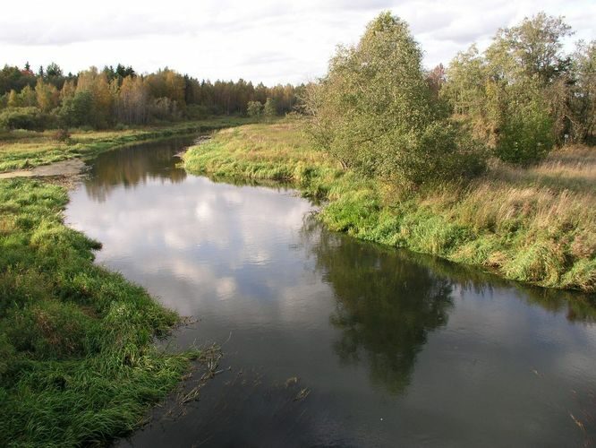 Maakond: Põlvamaa Veekogu nimi: Ahja jõgi Pildistamise aeg: 23. september 2007 Pildistaja: H. Timm Pildistamise koht: Kadaja sillalt Asimuut: