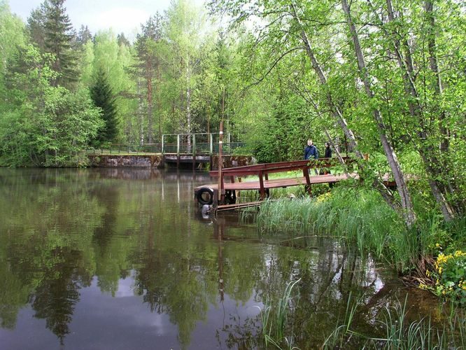 Maakond: Põlvamaa Veekogu nimi: Ahja jõgi Pildistamise aeg: 24. mai 2009 Pildistaja: H. Timm Pildistamise koht: Saesaare pais Asimuut: